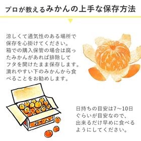 【予約受付】11/5~順次出荷【約5kg】九州みかんよかよ♪ 九州産温州みかん厳選 大玉