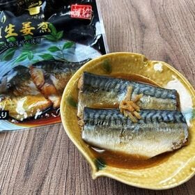 レンジで手軽に 骨取りさばのお惣菜 2種6Pセット