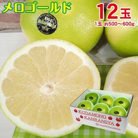 【予約受付】11/10~順次出荷【12玉】メロゴールド