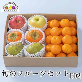 【予約受付】10月下旬~順次出荷 旬のフルーツセットF02 ...