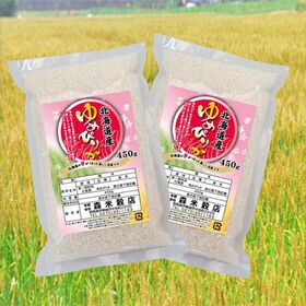 【450g×2袋】令和7年産 新米  北海道産ゆめぴりか