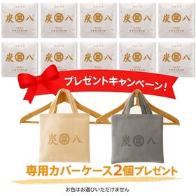 調湿木炭「炭八」スマート小袋×10袋 専用ケースカバープレゼント