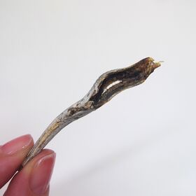 【賞味期限間近】【6袋】無添加 無頭たべる小魚