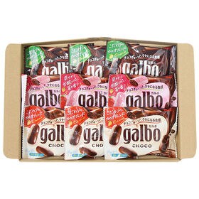 【3種計9コ】明治 ガルボ（チョコ・ほろにがブラック・つぶ練り苺）