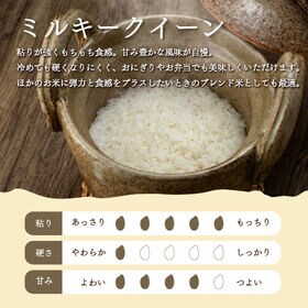 【計6kg/3kg×2袋】新米【精米】令和7年産 栃木県産 ミルキークイーン 白米