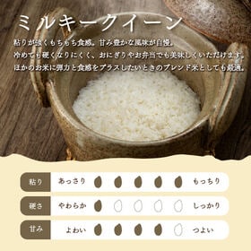 【計12kg/3kg×4袋】新米【精米】令和7年産 栃木県産 ミルキークイーン 白米