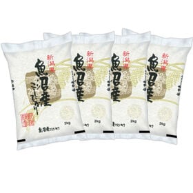 【計8kg/2kg×4袋】新米【精米】令和7年産 新潟県魚沼産コシヒカリ 白米