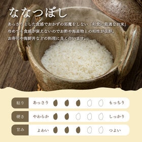 【計10kg/2kg×5袋】新米【精米】令和7年産 北海道産ななつぼし 無洗米