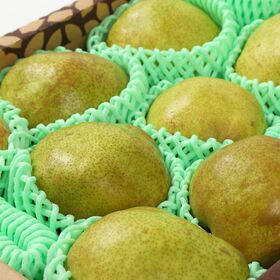 【予約受付】11/20~順次出荷【約3kg/8個~12個】山形県 ラフランス 《秀品》