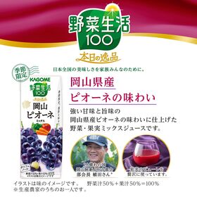 カゴメ 野菜生活100 本日の逸品 岡山ピオーネミックス 195ml×48本