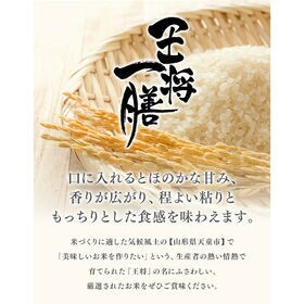 【約200g×24食】山形県天童産 パック ごはん  約200g×24食 王将一膳