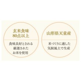 【約200g×24食】山形県天童産 パック ごはん  約200g×24食 王将一膳
