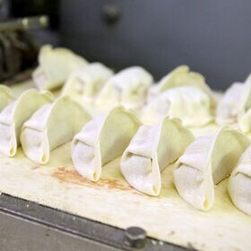 【計120個(15個×8パック)】黒豚ひとくち餃子