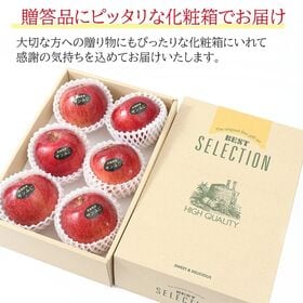 【予約受付】12/1~順次出荷【6玉】青森サンふじ・ふじりんご  (ギフト 贈答用)