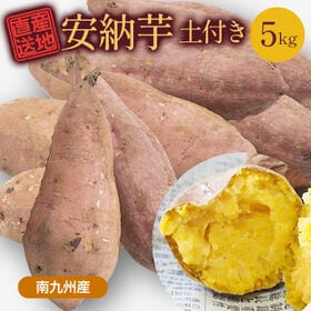 【5kg】 安納芋 FJK-002