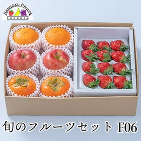 【予約受付】12月中旬~順次出荷 旬のフルーツセットF06 ...