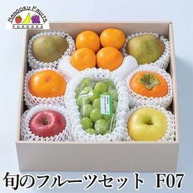 旬のフルーツセットF07 (シャインマスカット・林檎・柿・洋...