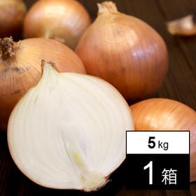 【5kg/1箱】淡路島産玉ねぎ