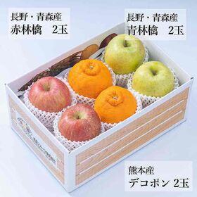 【予約受付】12月中旬~順次出荷　 旬のフルーツセットF15(赤林檎・青林檎・柑橘)