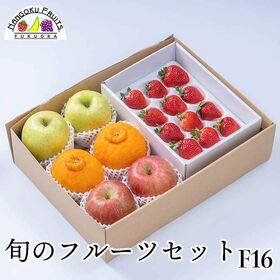 【予約受付】12月中旬~順次出荷　 旬のフルーツセットF16...