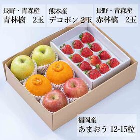【予約受付】12月中旬~順次出荷　 旬のフルーツセットF16(赤林檎・青林檎・柑橘・苺)