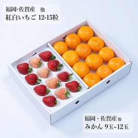 【予約受付】12月中旬~順次出荷 旬のフルーツセットF23(紅白苺・蜜柑)
