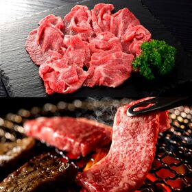 【計1kg】宮崎牛A4ランク以上福袋