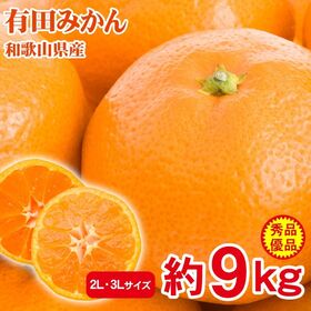 【予約受付】11/15~順次出荷【約9kg/2L・3L】産地直送「秀品・優品」和歌山県産有田みかん | みかんの産地　有田みかんを産地直送便でお届けさせて頂きます！