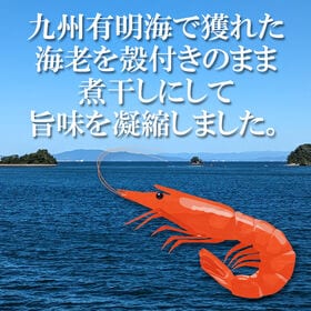 【50g】有明産 煮干えび