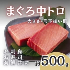 【約500g】まぐろ 中トロ柵（豊洲加工）大きさ形不揃い皮付き柵 | 赤身ほどあっさりせず、大トロほど脂っこくなくちょうど良いバランスが特徴の絶品まぐろ中とろ