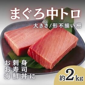 【約2kg】まぐろ 中トロ柵（豊洲加工）大きさ形不揃い皮付き柵 | とろける美味しさ！大トロより脂っぽくなく丁度良いバランスの絶品まぐろ中とろ