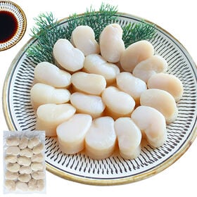 【500g】平貝貝柱 タイラギ貝（生食用）