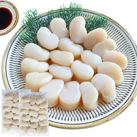 【計1kg/500g×2P】平貝貝柱 タイラギ貝（生食用）