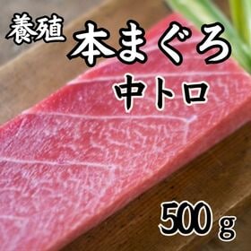 【500g】本まぐろ 中とろ（形・大きさ不揃い柵） | 本まぐろ！！新鮮な本鮪の美味しい中トロの柵をお好みの大きさにカットしご堪能下さい