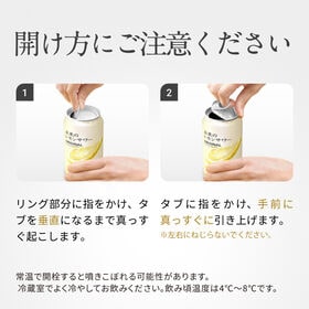 アサヒ 未来のレモンサワー プレーンレモンサワー 345ml×24本