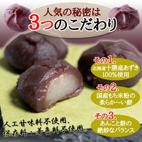 【12個入×2袋】やわらか あんころもち ＜十勝産小豆と国産もち米を100%使用！＞
