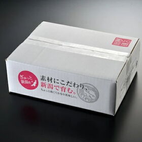 鮭山マス男商店 銀鮭藻塩寒風干し 8切