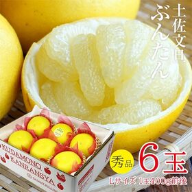 【予約受付】12/20~順次出荷【6玉】土佐文旦 秀品 | プチプチと弾ける食感と爽やかな後味がやみつきになります。