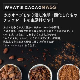 【1kg(500g×2個)】カカオマス 不揃い・お徳用・業務用【メール便2個口配送】