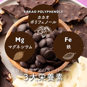 【30kg(500g×60個)】カカオマス 不揃い・お徳用・業務用