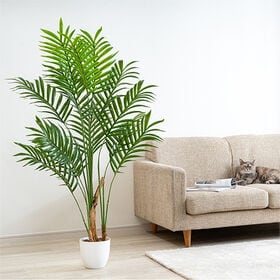 光触媒 インテリアクグリーン アレカヤシ