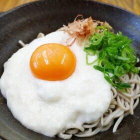 【50g×10袋入】国産冷凍とろろ芋