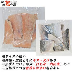 【1kg前後×3パック/15~18切】紅鮭 尾切身 サイズ不揃い 骨とり加工 無塩 【規格外品】