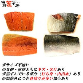 【1kg前後×3パック/15~18切】紅鮭 尾切身 サイズ不揃い 骨とり加工 無塩 【規格外品】