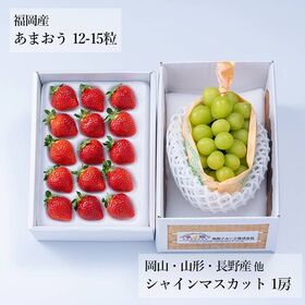 【予約受付】12月上旬~順次出荷 旬のフルーツセットF17 (あまおう・シャインマスカット)