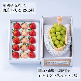 【予約受付】12月中旬~順次出荷 旬のフルーツセットF18 (紅白いちご・シャインマスカット)