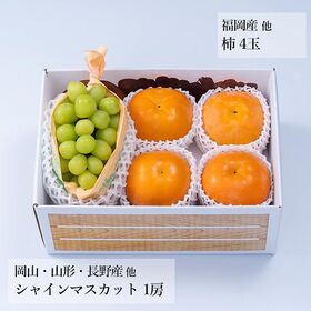 旬のフルーツセットF19 (シャインマスカット・柿)