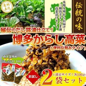 【計200g(100g×2袋)】辛子高菜 だし醤油仕立て からし高菜漬 お試し 九州特産 漬け物