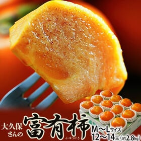 【約2.8kg(12~14玉入)/M~Lサイズ】山梨県石和町産大久保さんの『富有柿』ご自宅用 | 笛吹川に育まれた、石和の特別旨い柿