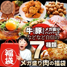 【計2.25kg】肉の福袋＜計7種 食べ比べ＞メガ盛り！ブロンズ福袋